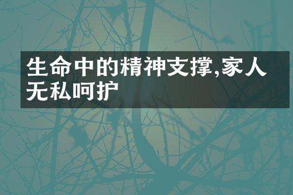 生命中的精神支撑,家人的无私呵护