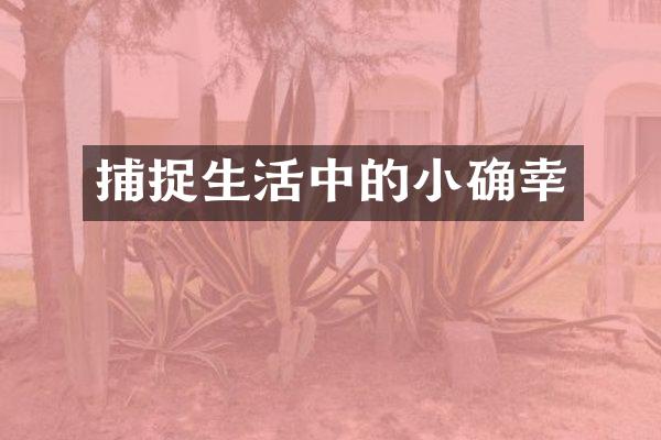 捕捉生活中的小确幸