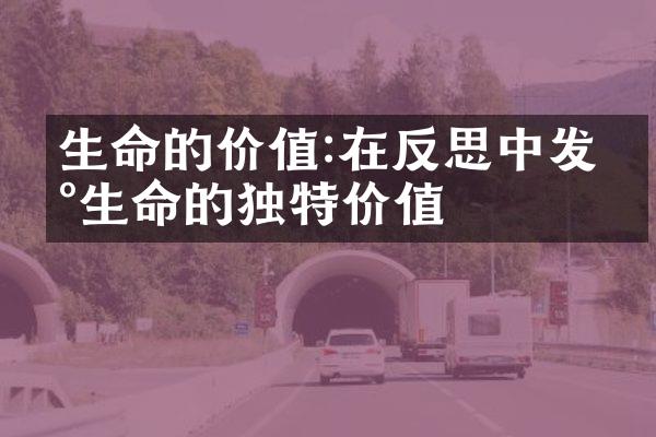 生命的价值:在反思中发现生命的独特价值