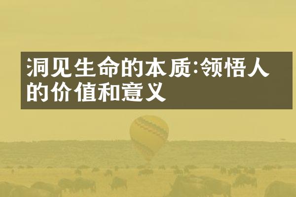 洞见生命的本质:领悟人生的价值和意义