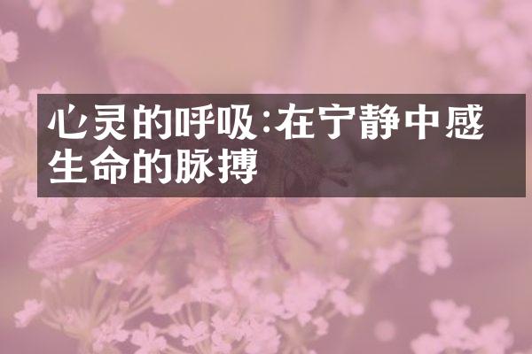 心灵的呼吸:在宁静中感受生命的脉搏