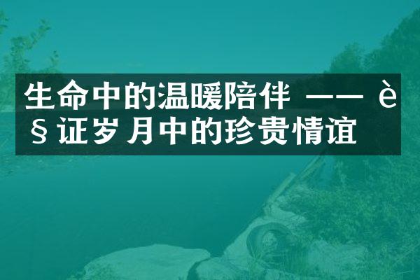 生命中的温暖陪伴 &mdash;&mdash; 见证岁月中的珍贵情谊