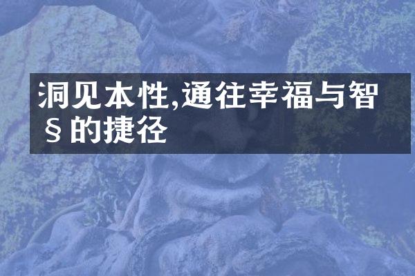 洞见本性,通往幸福与智慧的捷径