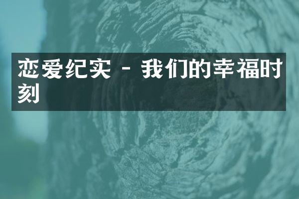恋爱纪实 - 我们的幸福时刻