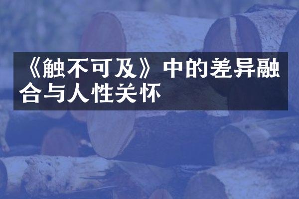 《触不可及》中的差异融合与人性关怀