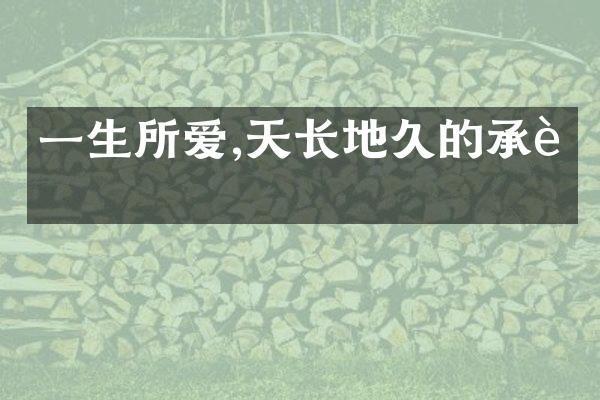 一生所爱,天长地久的承诺