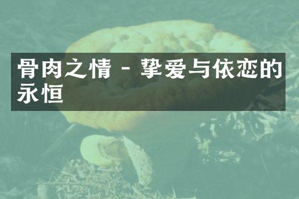 骨肉之情 - 挚爱与依恋的永恒