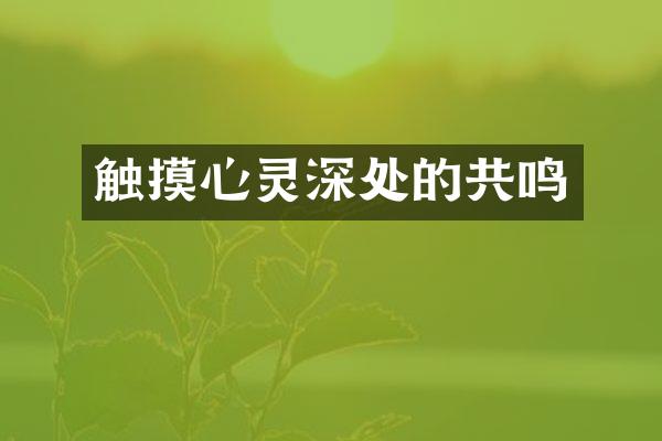 触摸心灵深处的共鸣