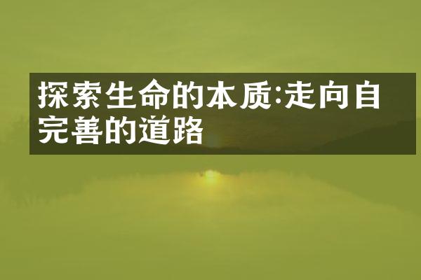 探索生命的本质:走向自我完善的道路