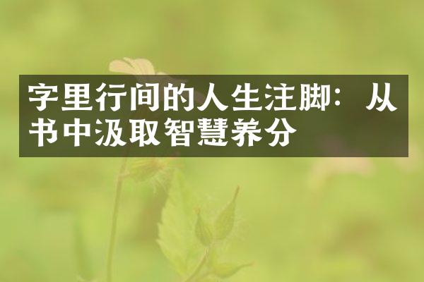 字里行间的人生注脚：从书中汲取智慧养分