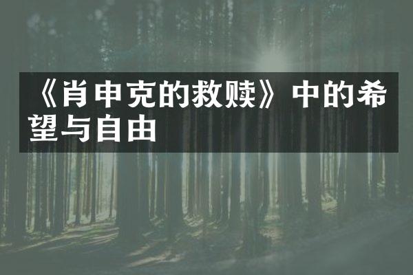 《肖申克的救赎》中的希望与自由