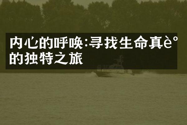 内心的呼唤:寻找生命真谛的独特之旅