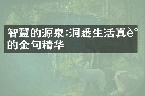 智慧的源泉:洞悉生活真谛的金句精华
