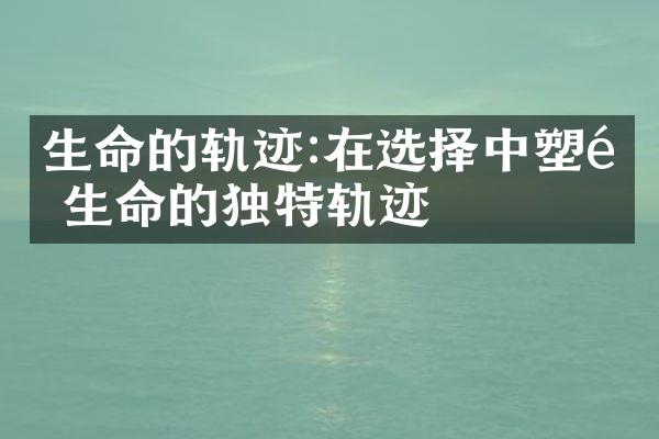 生命的轨迹:在选择中塑造生命的独特轨迹