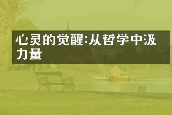 心灵的觉醒:从哲学中汲取力量