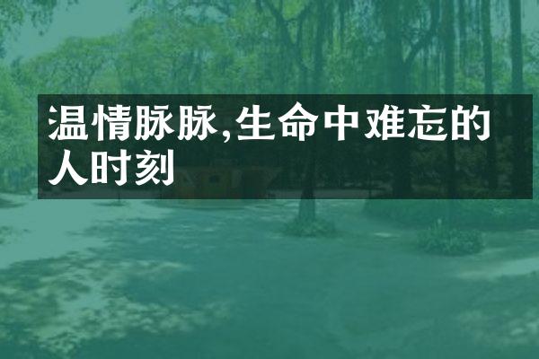 温情脉脉,生命中难忘的亲人时刻