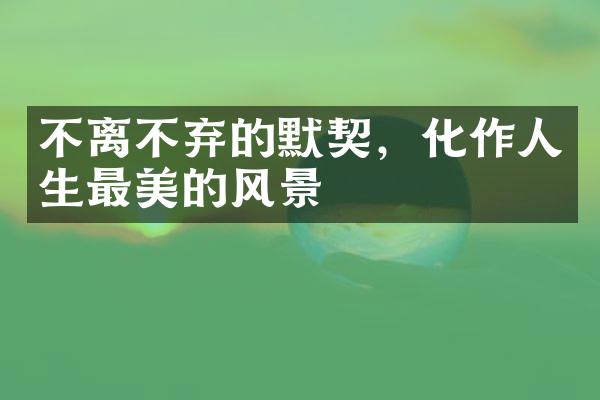 不离不弃的默契，化作人生最美的风景