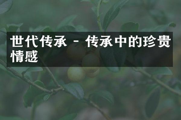世代传承 - 传承中的珍贵情感