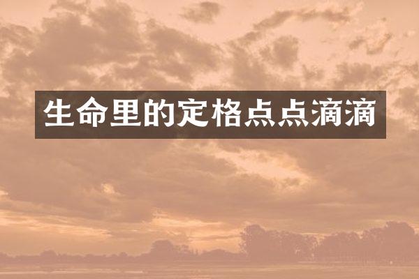 生命里的定格点点滴滴