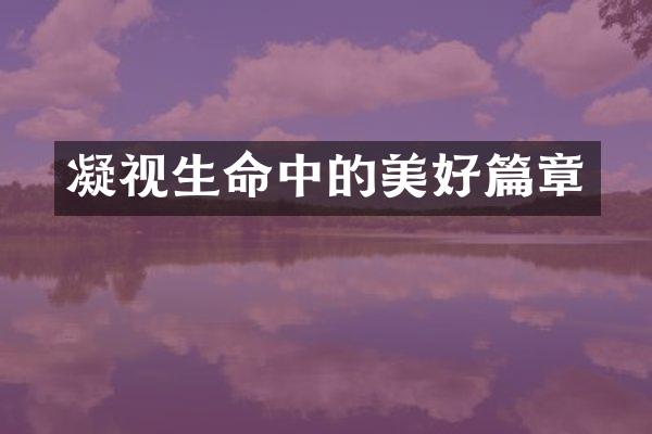 凝视生命中的美好篇章