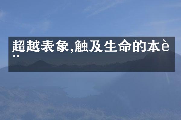 超越表象,触及生命的本质