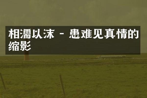 相濡以沫 - 患难见真情的缩影