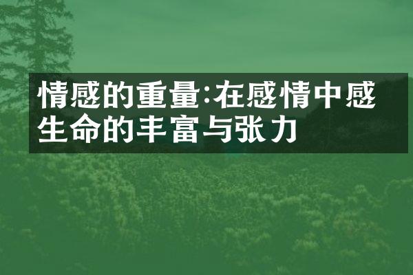 情感的重量:在感情中感受生命的丰富与张力