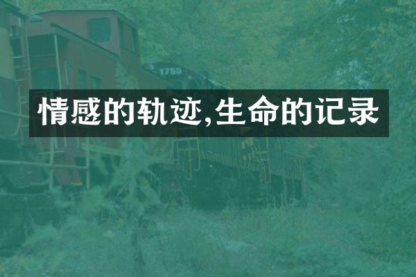 情感的轨迹,生命的记录