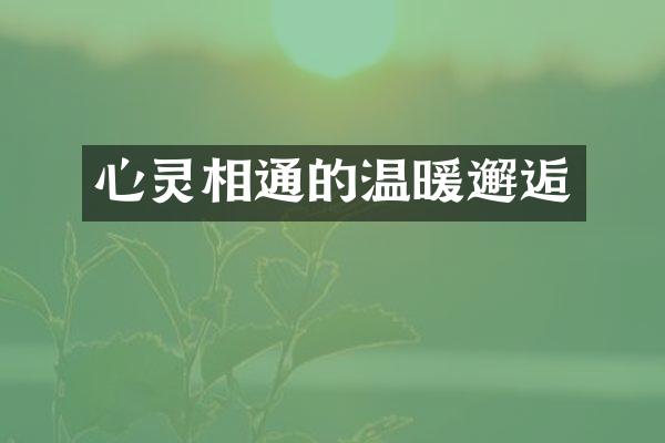 心灵相通的温暖邂逅