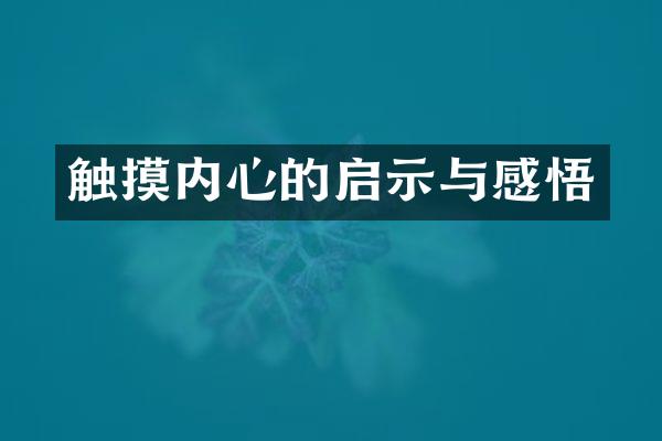 触摸内心的启示与感悟