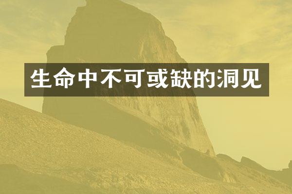 生命中不可或缺的洞见