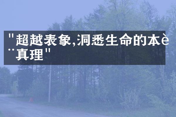 "超越表象,洞悉生命的本质真理"