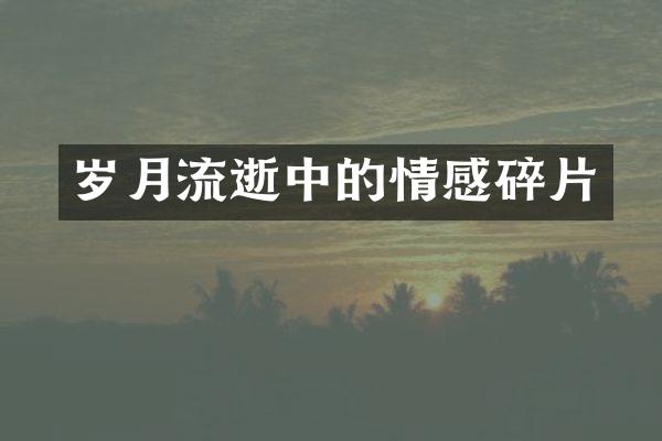 岁月流逝中的情感碎片