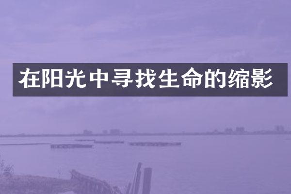 在阳光中寻找生命的缩影