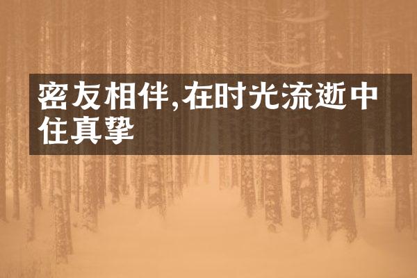 密友相伴,在时光流逝中留住真挚