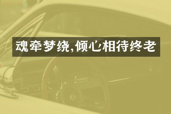 魂牵梦绕,倾心相待终老