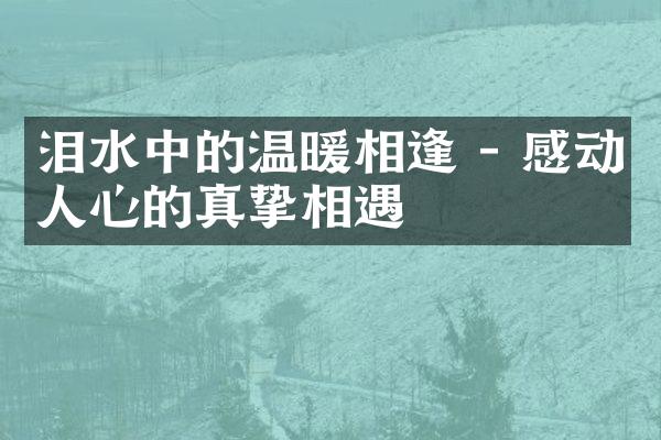 泪水中的温暖相逢 - 感动人心的真挚相遇
