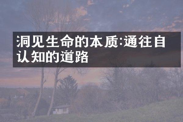 洞见生命的本质:通往自我认知的道路