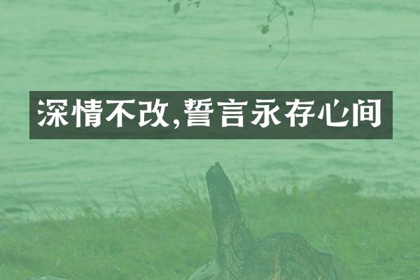 深情不改,誓言永存心间