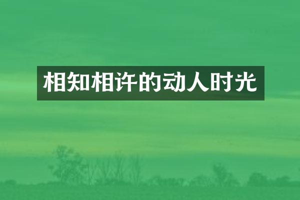 相知相许的动人时光