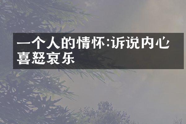 一个人的情怀:诉说内心的喜怒哀乐