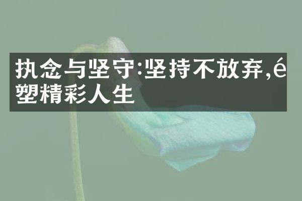 执念与坚守:坚持不放弃,重塑精彩人生