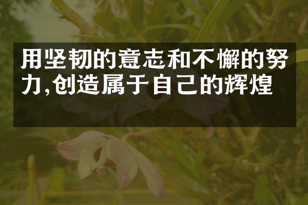 用坚韧的意志和不懈的努力,创造属于自己的辉煌。