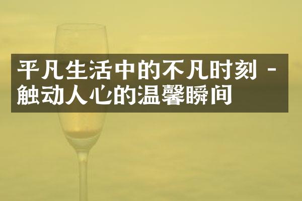平凡生活中的不凡时刻 - 触动人心的温馨瞬间