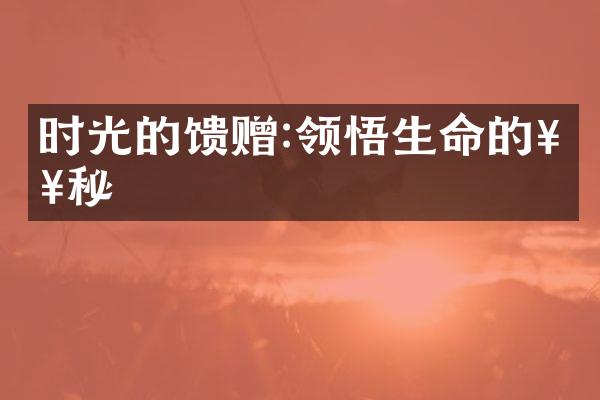 时光的馈赠:领悟生命的奥秘