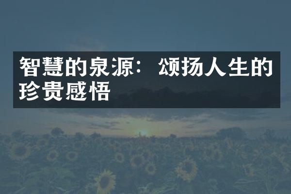 智慧的泉源：颂扬人生的珍贵感悟