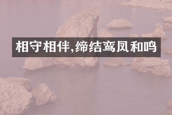 相守相伴,缔结鸾凤和鸣