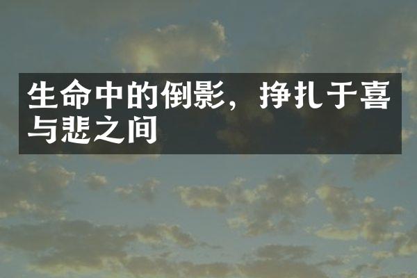 生命中的倒影，挣扎于喜与悲之间