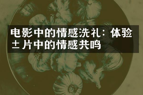 电影中的情感洗礼: 体验影片中的情感共鸣