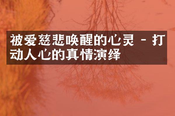 被爱慈悲唤醒的心灵 - 打动人心的真情演绎